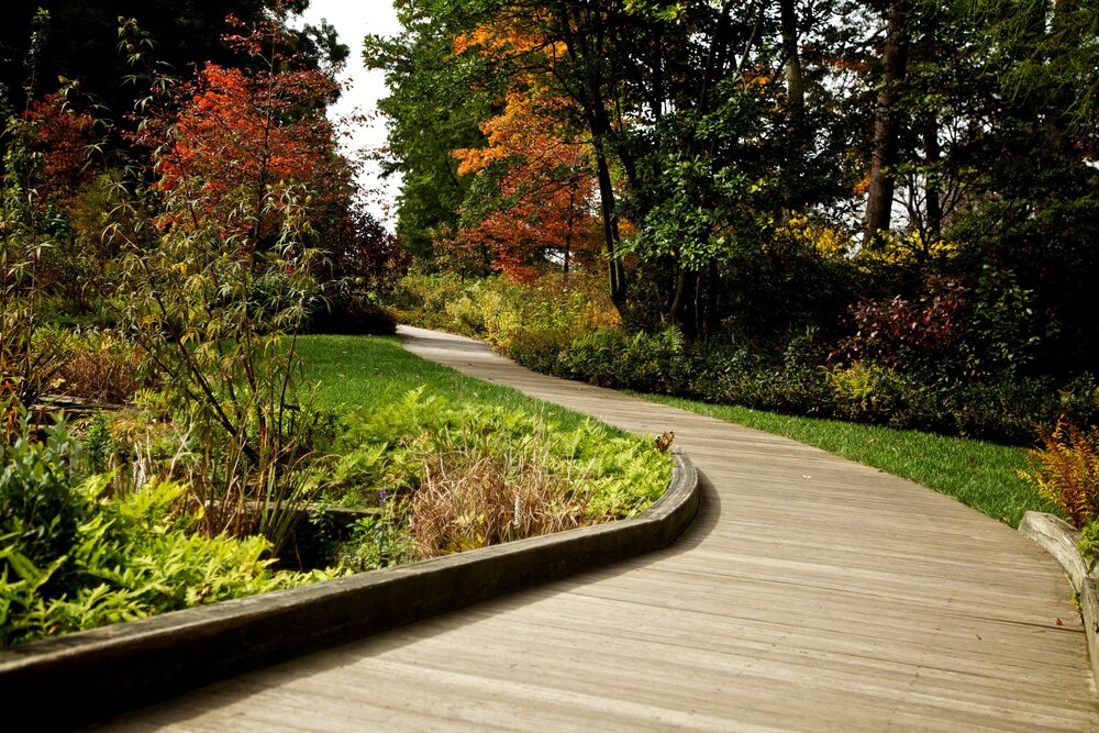Transform Your Backyard: The Ultimate Guide to Outdoor Fire Features with NXT Construction
